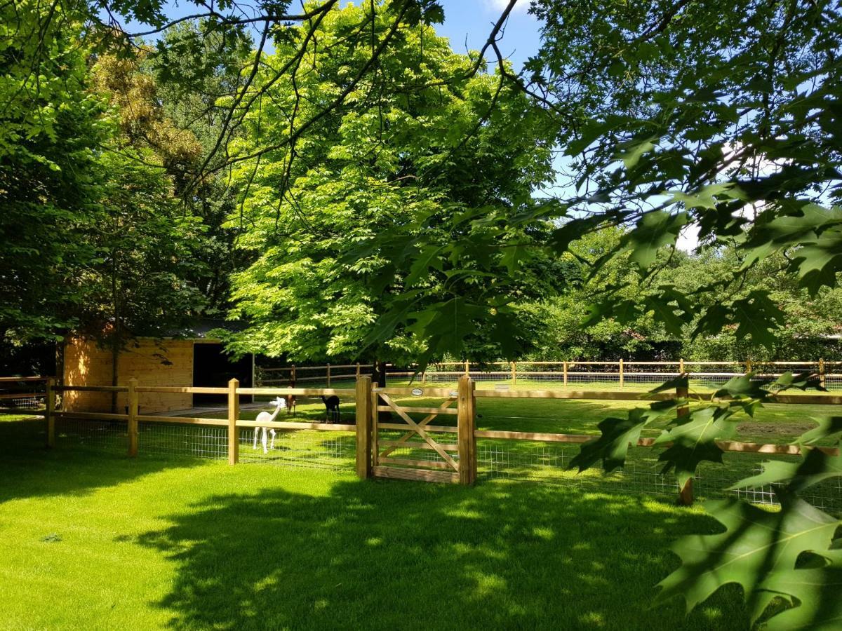 The Two Oaks Ferienhaus